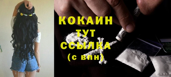 гидра Белоозёрский