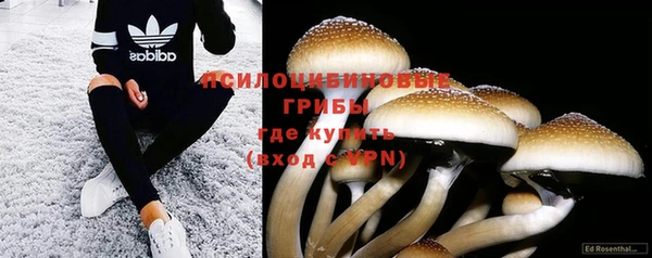 гашик Белокуриха