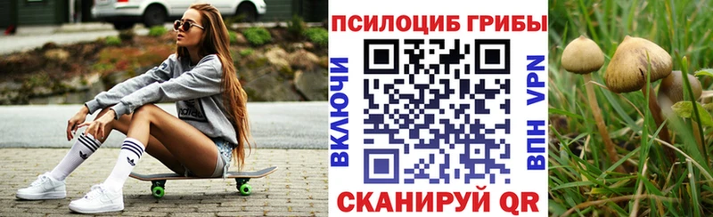 Псилоцибиновые грибы GOLDEN TEACHER Заринск